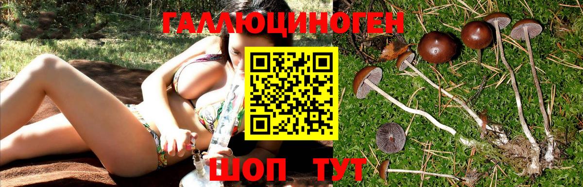 Псилоцибиновые грибы Psilocybine cubensis Владивосток